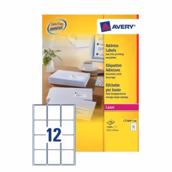 Avery L7164-100