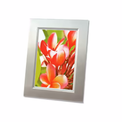 Avery C2550-50 papier photos Blanc Hautement brillant