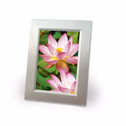 Avery Premium Inkjet, A4, 300g papier photos Blanc Hautement brillant
