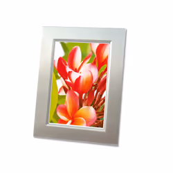 Avery Premium Inkjet Fotopapier papier jet d'encre A4 (210x297 mm) Hautement brillant 20 feuilles Blanc