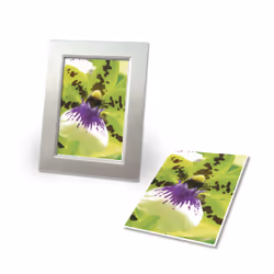 Avery Premium Inkjet A4 250g papier photos Blanc Mat satiné