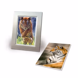 Avery 2556-15P papier photos A4 Blanc Hautement brillant