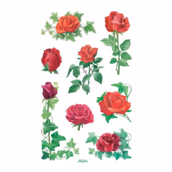 Avery 54261 autocollant décoratif Papier Multicolore Permanent 24 pièce(s)