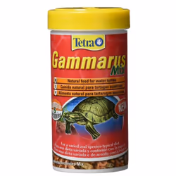 Nourriture naturelle pour les tortues d'eau. Gammarus contient un pourcentage _lev_ de min_raux et de fibres naturelles pour ...