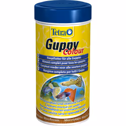 Tetra Guppy Colour