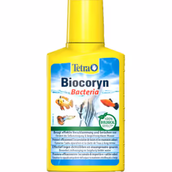 Biocoryn élimine les polluants organiques 100 ml Prévient l'envasement du fond du bac et les odeurs désagréables. Contient de ...