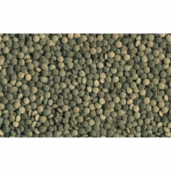 Tetra Pleco Tablets 0,036 kg