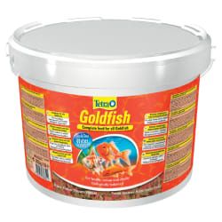 Tetra Goldfish - 10 l