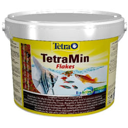 Ttramin, 10 l