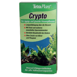 TETRA Crypto