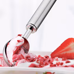 RÖSLE RS12741 Cuillère à glace automatique
