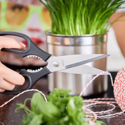 RÖSLE RS96290 ciseau de cuisine 100 mm Noir, Acier inoxydable Universel