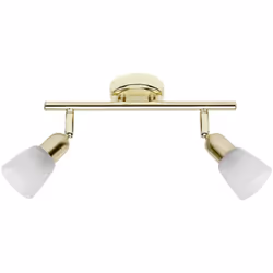 Têtes pivotantes adaptées aux lampes à LED gradables via un variateur externe lors de l'utilisation d'une lampe appropriée Qu ...