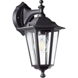 Applique murale d'extérieur Carleen noire suspendue 1x A60, E27, 60W, adapté aux lampes normales (non incluses) - Brilliant