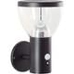 Applique extérieure - BRILLIANT - TULIP - LED et solaire - Détecteur de mouvement - Acier inoxydable et plastique - 4 W - Noir