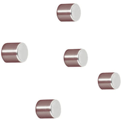 Aimant Néodyme C5 Strong (ø x h) 10 mm x 10 mm cylindrique argent 5 pc(s) BA700 - Sigel