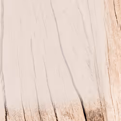 Sigel DP128 papier jet d'encre A4 (210x297 mm) 50 feuilles Marron