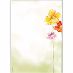 Sigel DP123, 50 feuilles