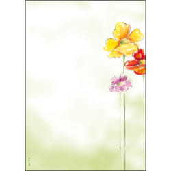 Sigel DP123 papier créatif 50 feuilles