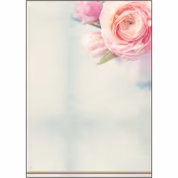 Sigel DP004, Universel, A4 (210x297 mm), 50 feuilles, 90 g/m², Vert, Rose, Forest Stewardship Council (FSC)