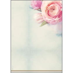Sigel DP004 papier jet d'encre A4 (210x297 mm) 50 feuilles Vert, Rose