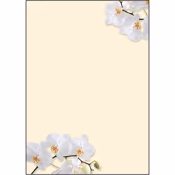 Sigel DP904, 50 feuilles
