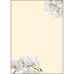 Sigel DP904 papier créatif 50 feuilles