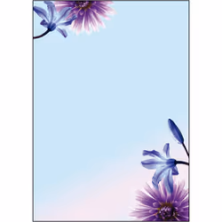 Sigel DP903, 50 feuilles
