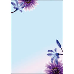 Sigel DP903 papier créatif 50 feuilles