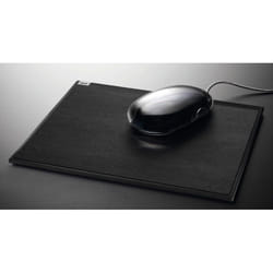 Sigel cintano : S Noir