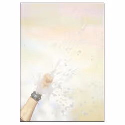 Sigel DP297, 100 feuilles