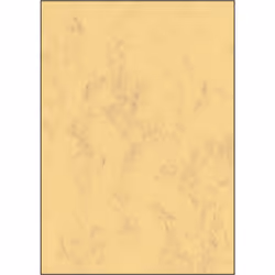 Sigel DP553, 50 feuilles