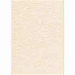Sigel DP605, 100 feuilles