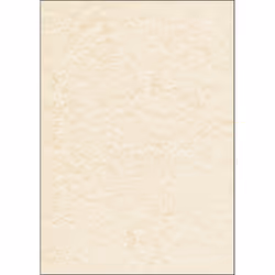 Sigel DP655, 50 feuilles