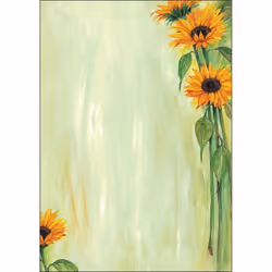 Sigel DP694, 25 feuilles