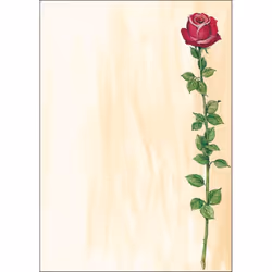 Sigel DP695, 25 feuilles