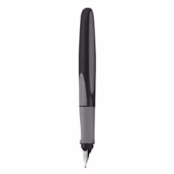 Schneider Schreibgeräte Ray stylo de calligraphie Noir 1 pièce(s)
