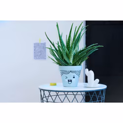 Edding 750 Argent 1 pièce(s)
