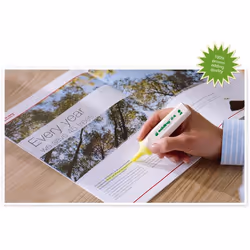 Edding EcoLine 24 marqueur 10 pièce(s) Jaune