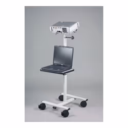 Reflecta 6059 support pour projecteurs Sol Gris