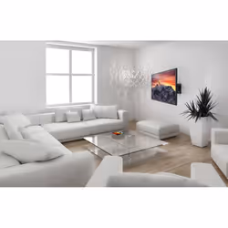 Reflecta 23111 support pour téléviseur 40" Noir