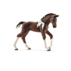 schleich Farm Life Poulain Trakehnen