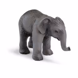 schleich Bébé Eléphant de l'Inde, 3 an(s), Gris, Plastique