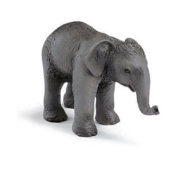 schleich Bébé Eléphant de l'Inde
