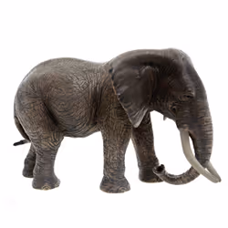 schleich WILD LIFE Eléphant d'Afrique Femelle
