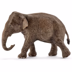 schleich WILD LIFE Eléphant d’Asie, Femelle, 3 an(s), Afrique, Multicolore, Plastique