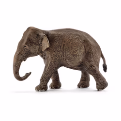schleich WILD LIFE Eléphant d’Asie, Femelle