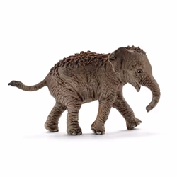 schleich WILD LIFE Eléphanteau d’Asie