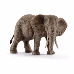 schleich WILD LIFE Éléphant d'afrique Femelle, 3 an(s), Multicolore, Plastique, 1 pièce(s)