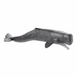 schleich WILD LIFE Grand Cachalot